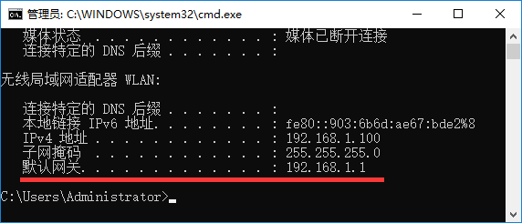 输入：ipconfig 命令